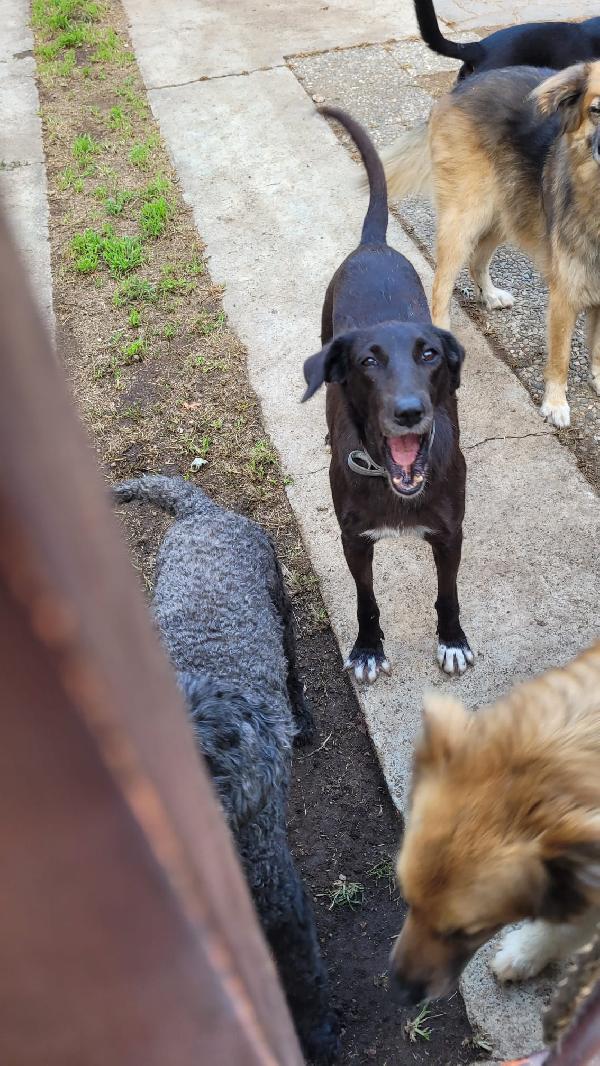 BLACKY Foto 7